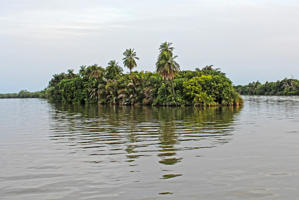 travel express gambia