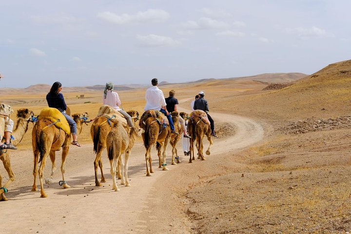 Sun set camel ride in Agafay desert